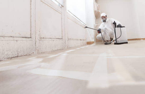 Trusted Commercial Mold Remediation service in Alden, MI - WQB Mold Removal