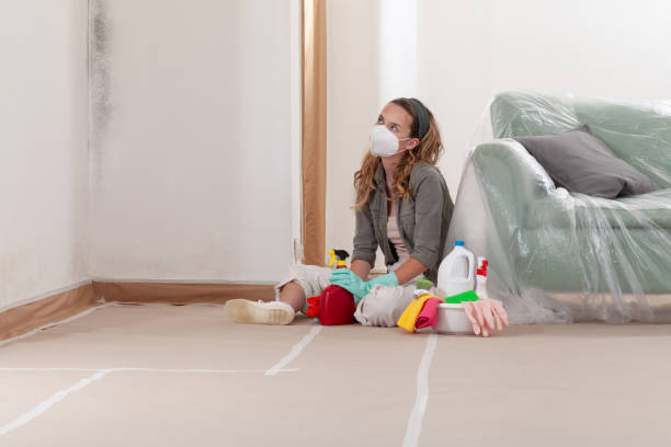 Reliable Commercial Mold Remediation contractor in Alden, MI by WQB Mold Removal